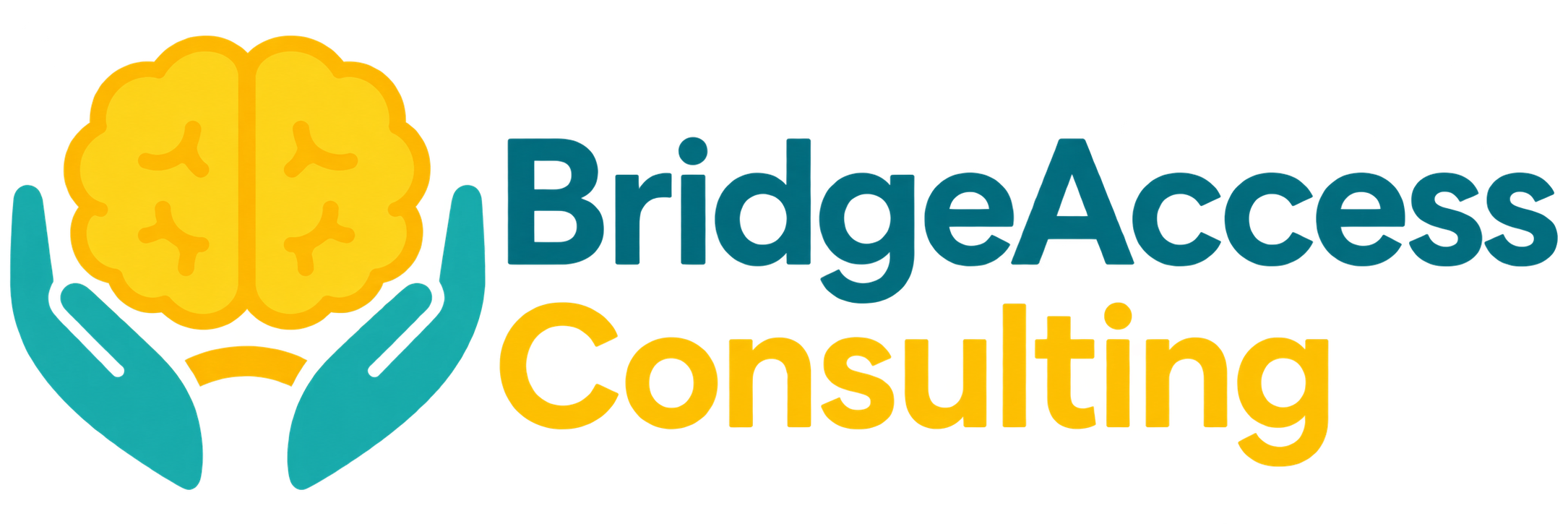 BridgeAccess Consulting